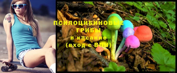 твердый Алзамай